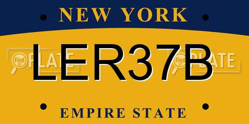 LER37B New York License Plate