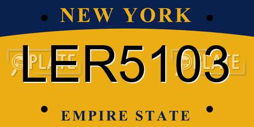 LER5103 New York License Plate