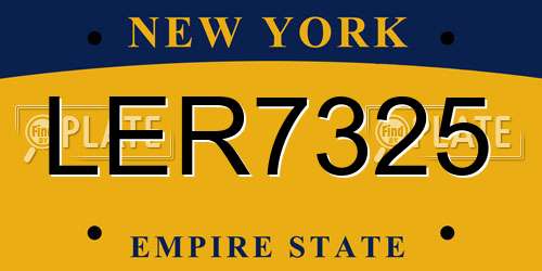 LER7325 New York License Plate