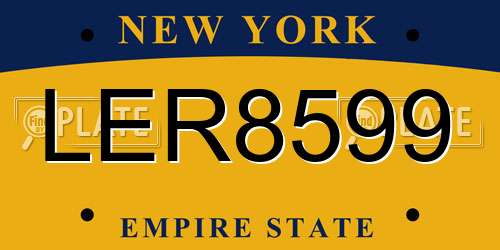 LER8599 New York License Plate