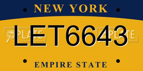 LET6643 New York License Plate