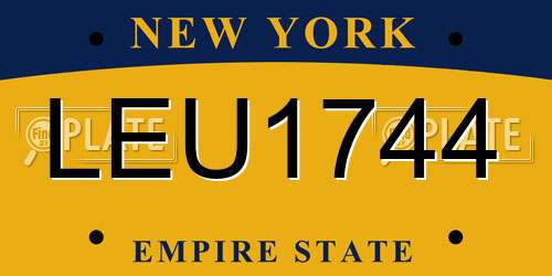 LEU1744 New York License Plate