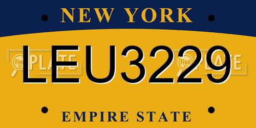 LEU3229 New York License Plate
