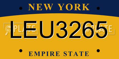 LEU3265 New York License Plate