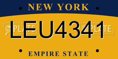 LEU4341 New York License Plate