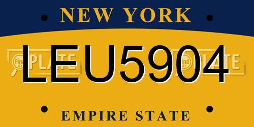 LEU5904 New York License Plate