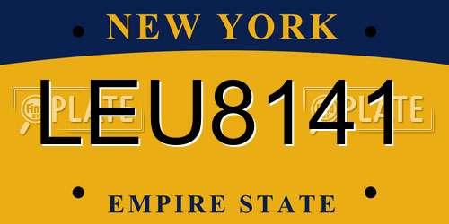 LEU8141 New York License Plate