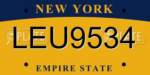 LEU9534 New York License Plate