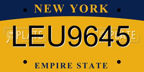 LEU9645 New York License Plate