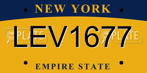 LEV1677 New York License Plate