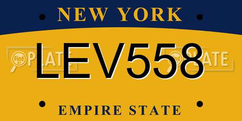 LEV558 New York License Plate
