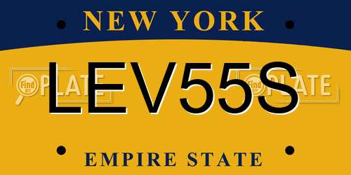 LEV55S New York License Plate