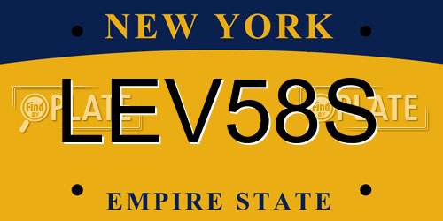 LEV58S New York License Plate