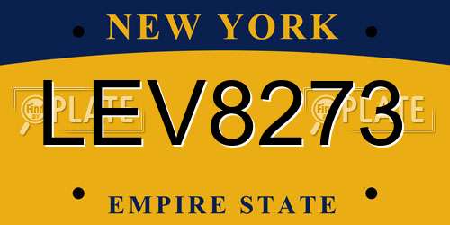 LEV8273 New York License Plate