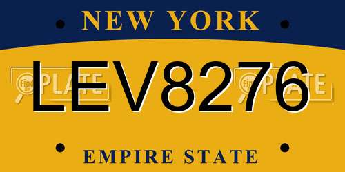LEV8276 New York License Plate