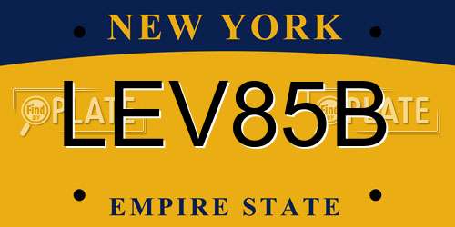 LEV85B New York License Plate