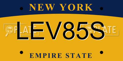 LEV85S New York License Plate