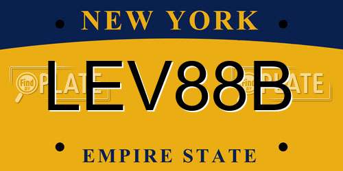 LEV88B New York License Plate