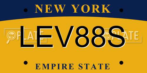 LEV88S New York License Plate