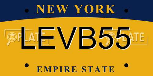 LEVB55 New York License Plate