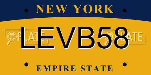 LEVB58 New York License Plate