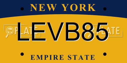 LEVB85 New York License Plate
