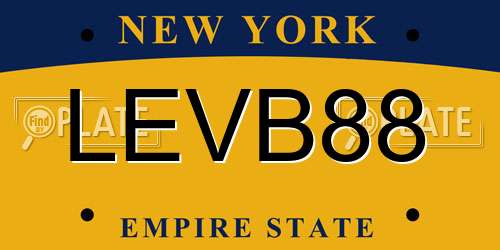 LEVB88 New York License Plate