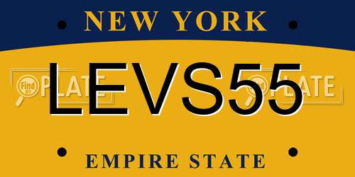 LEVS55 New York License Plate