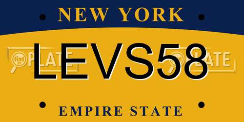 LEVS58 New York License Plate