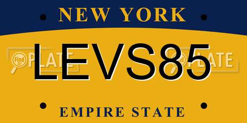 LEVS85 New York License Plate