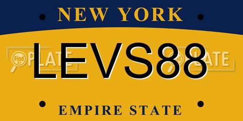 LEVS88 New York License Plate
