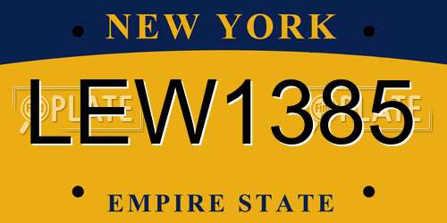 LEW1385 New York License Plate