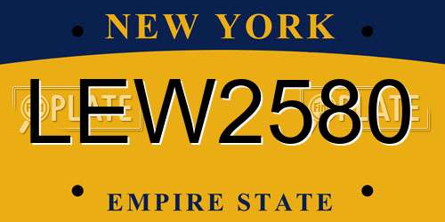 LEW2580 New York License Plate