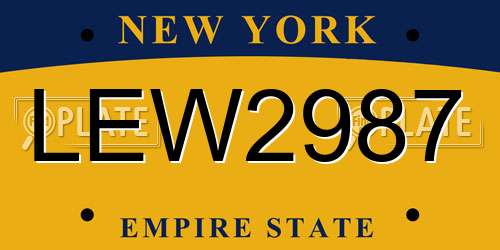 LEW2987 New York License Plate
