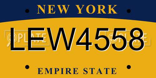 LEW4558 New York License Plate