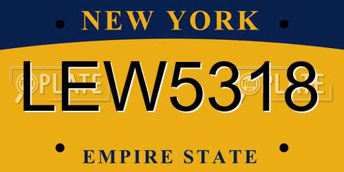 LEW5318 New York License Plate