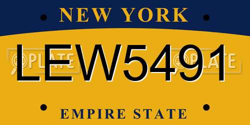 LEW5491 New York License Plate