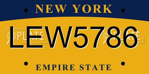 LEW5786 New York License Plate