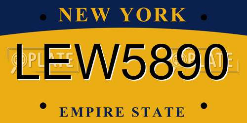 LEW5890 New York License Plate