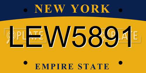 LEW5891 New York License Plate