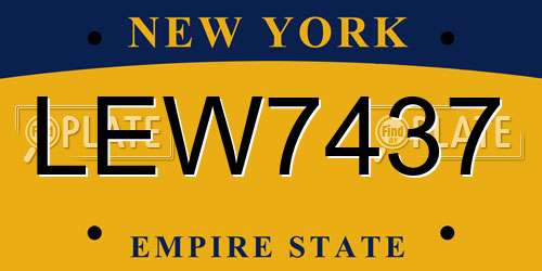 LEW7437 New York License Plate