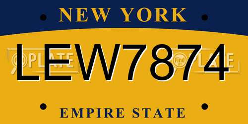 LEW7874 New York License Plate