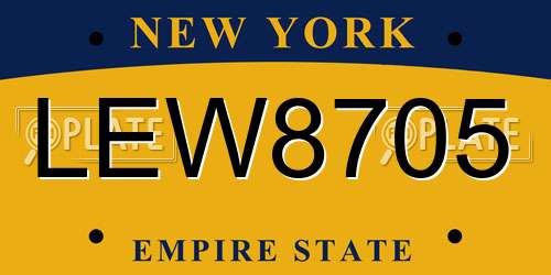 LEW8705 New York License Plate
