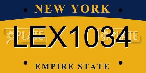 LEX1034 New York License Plate