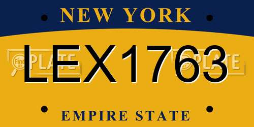 LEX1763 New York License Plate