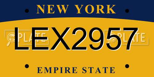 LEX2957 New York License Plate