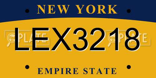 LEX3218 New York License Plate