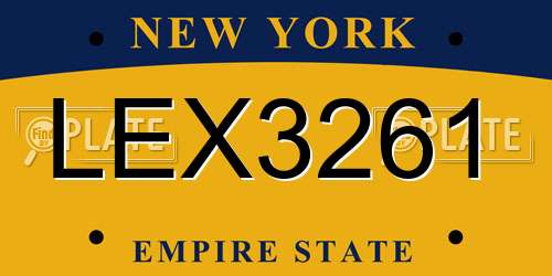 LEX3261 New York License Plate