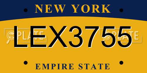 LEX3755 New York License Plate