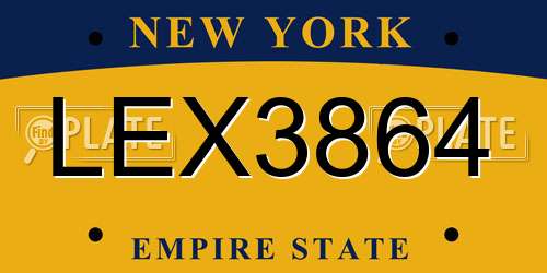 LEX3864 New York License Plate